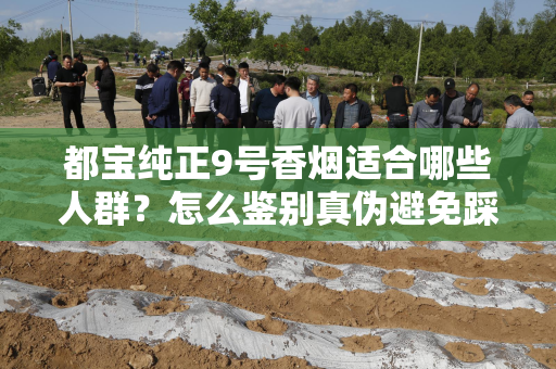 都宝纯正9号香烟适合哪些人群？怎么鉴别真伪避免踩坑？